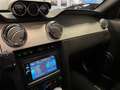 Ford Mustang USA Coupe 5.0i V8 Saleen S302 Parnelli Jones Editi Naranja - thumbnail 48