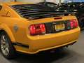 Ford Mustang USA Coupe 5.0i V8 Saleen S302 Parnelli Jones Editi Oranje - thumbnail 42