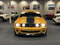 Ford Mustang USA Coupe 5.0i V8 Saleen S302 Parnelli Jones Editi Arancione - thumbnail 5