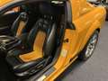 Ford Mustang USA Coupe 5.0i V8 Saleen S302 Parnelli Jones Editi Oranje - thumbnail 19