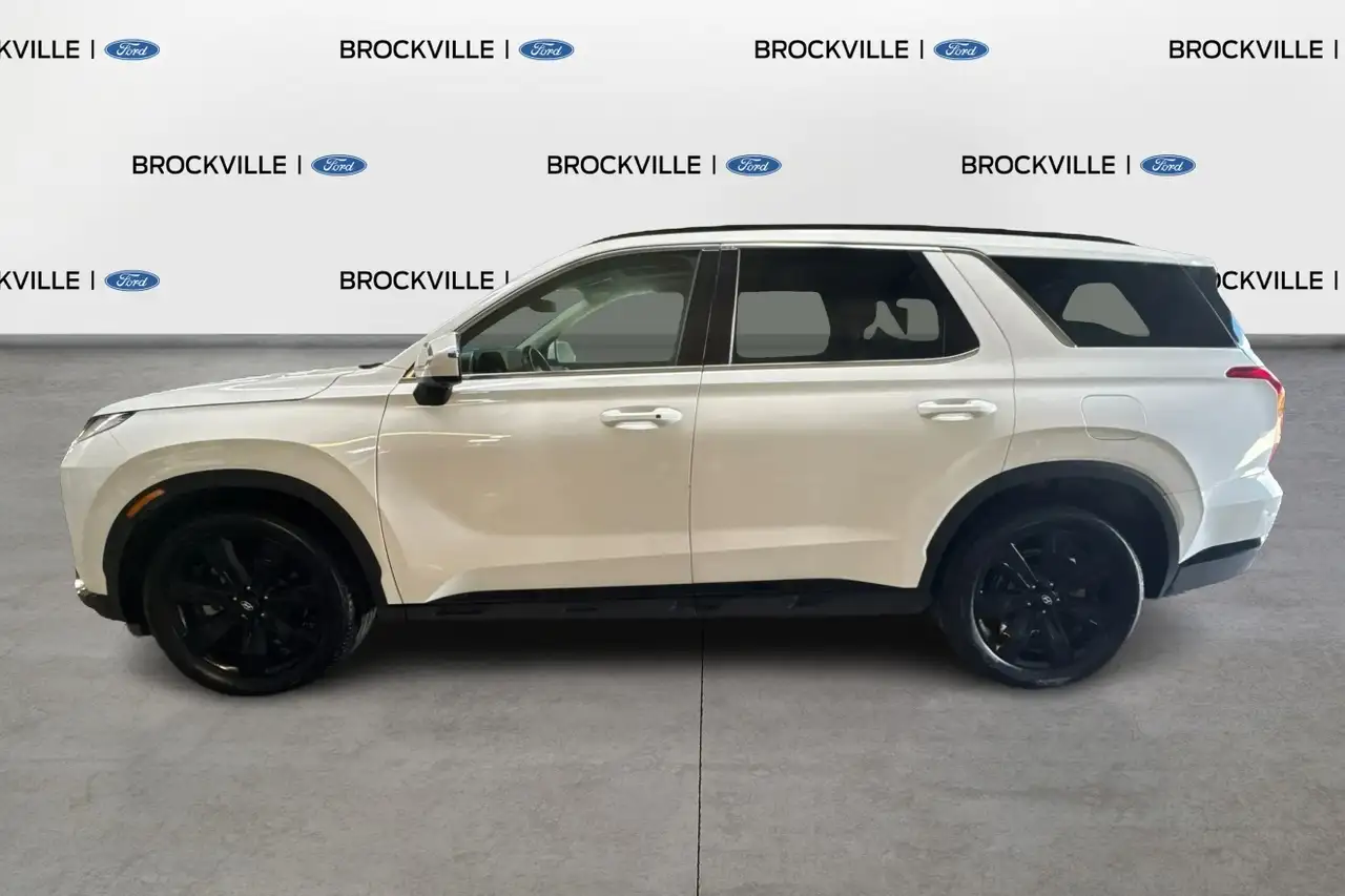 Hyundai PALISADE fotografie Hyundai PALISADE