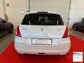 Suzuki Swift 5p 1.3 ddis GL Top Blanc - thumbnail 5