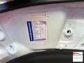 Suzuki Swift 5p 1.3 ddis GL Top Blanc - thumbnail 22