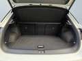 Volkswagen T-Roc R-Line1.5 TSI DSG Panoramadach Standheizung Weiß - thumbnail 14