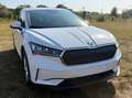 Skoda Enyaq IV 80 LED GPS PDC CAM Heat-Pump Verw. Zetels BLIS Wit - thumbnail 1