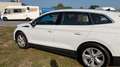 Skoda Enyaq IV 80 LED GPS PDC CAM Heat-Pump Verw. Zetels BLIS Wit - thumbnail 6