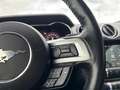 Ford Mustang GT Fastback V8 5.0L BVM Weiß - thumbnail 17