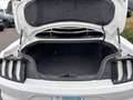 Ford Mustang GT Fastback V8 5.0L BVM Weiß - thumbnail 5