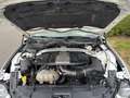Ford Mustang GT Fastback V8 5.0L BVM Weiß - thumbnail 10