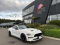 Ford Mustang GT Fastback V8 5.0L BVM Weiß - thumbnail 8
