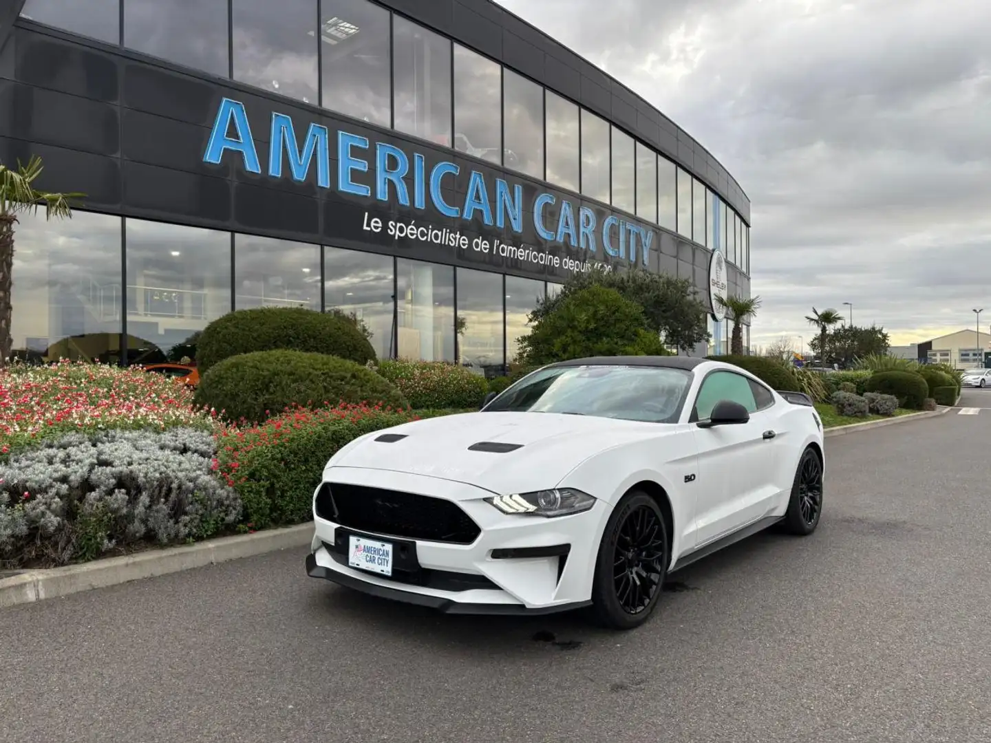 Ford Mustang GT Fastback V8 5.0L BVM Weiß - 1