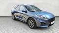 Ford Kuga 1.5 EcoBoost ST-Line / Winterpaket /Keyless Blu/Azzurro - thumbnail 16