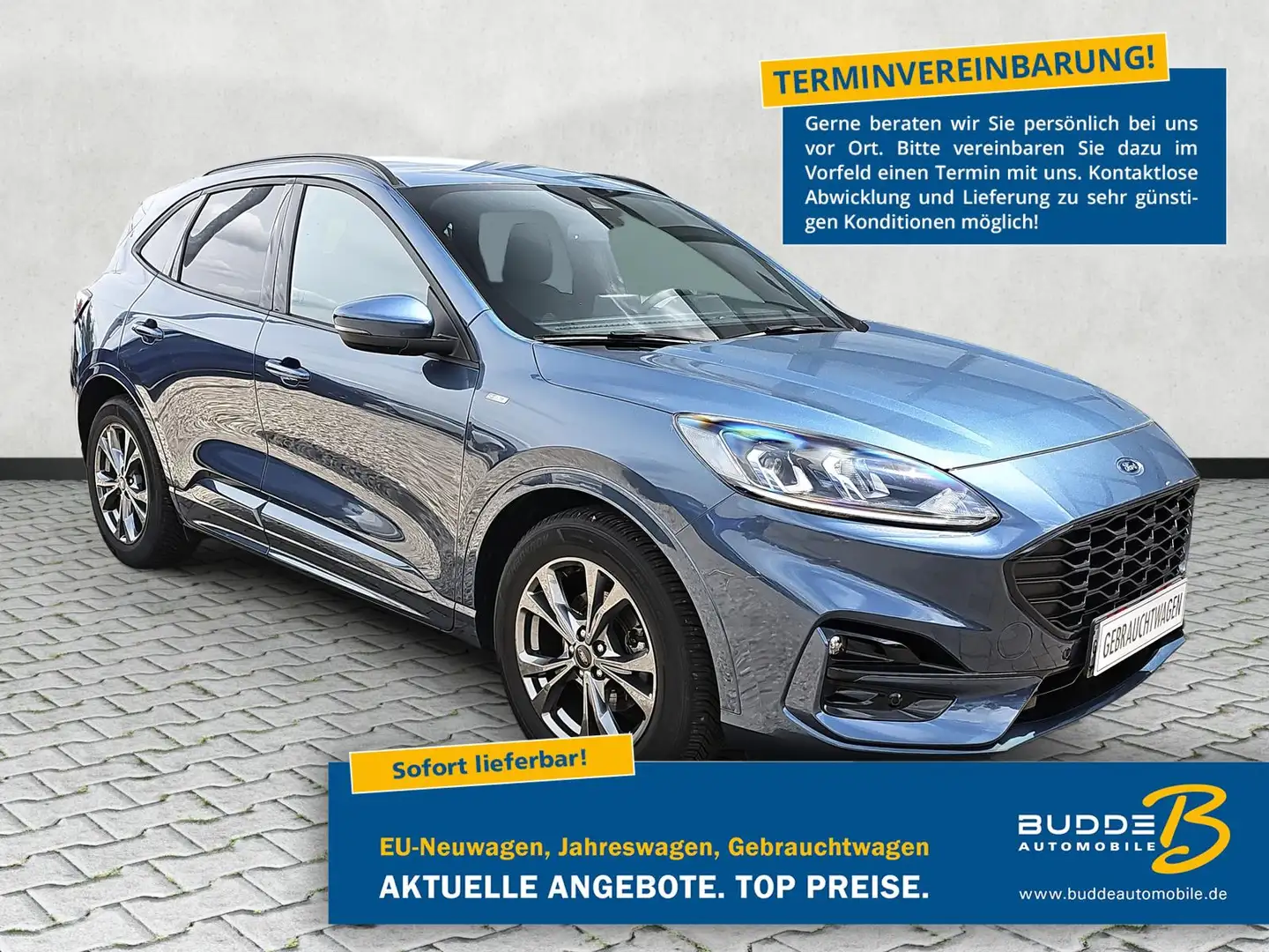 Ford Kuga 1.5 EcoBoost ST-Line / Winterpaket /Keyless Blu/Azzurro - 1