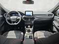 Ford Kuga 1.5 EcoBoost ST-Line / Winterpaket /Keyless Blu/Azzurro - thumbnail 12