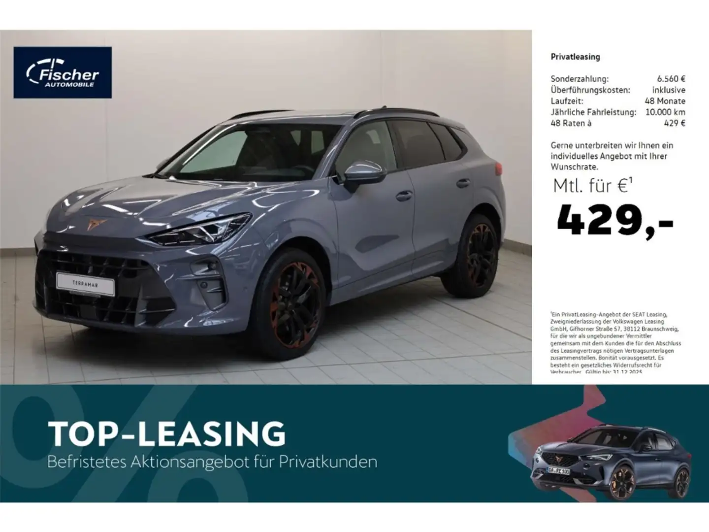 CUPRA Terramar 2.0 TSI 4Drive VZ Grau - 1