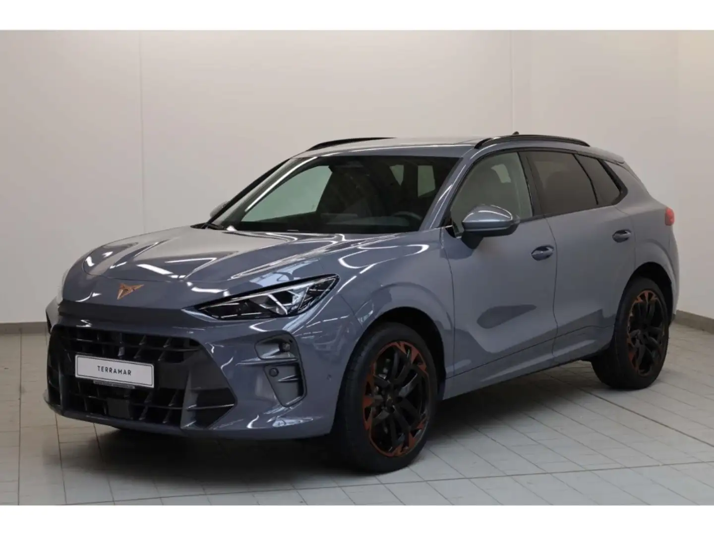CUPRA Terramar 2.0 TSI 4Drive VZ Grau - 2