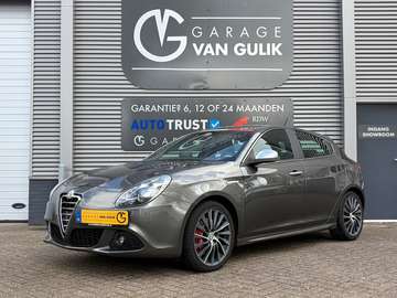 1.4 T Business Executive 170PK Navi,Clima,Cruise,B