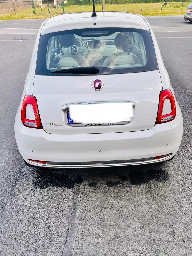 Fiat 500 Lounge 1.2 Benzina 69PK Beige - 2