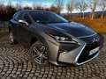 Lexus RX 450h RX 450h (hybrid) Executive Line Grau - thumbnail 3