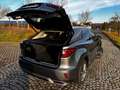 Lexus RX 450h RX 450h (hybrid) Executive Line Grau - thumbnail 7