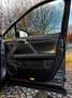 Lexus RX 450h RX 450h (hybrid) Executive Line Grau - thumbnail 29