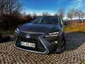 Lexus RX 450h RX 450h (hybrid) Executive Line Grau - thumbnail 32