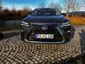Lexus RX 450h RX 450h (hybrid) Executive Line Grau - thumbnail 2
