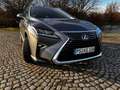 Lexus RX 450h RX 450h (hybrid) Executive Line Grau - thumbnail 36