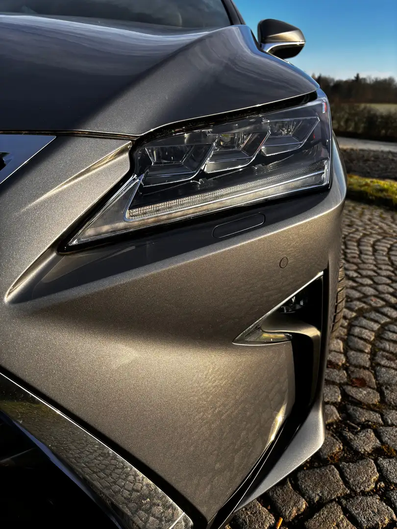 Lexus RX 450h RX 450h (hybrid) Executive Line Grau - 1