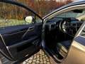Lexus RX 450h RX 450h (hybrid) Executive Line Grau - thumbnail 27