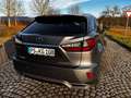 Lexus RX 450h RX 450h (hybrid) Executive Line Grau - thumbnail 6
