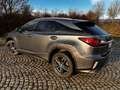 Lexus RX 450h RX 450h (hybrid) Executive Line Grau - thumbnail 4