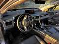 Lexus RX 450h RX 450h (hybrid) Executive Line Grau - thumbnail 30