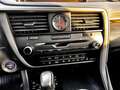 Lexus RX 450h RX 450h (hybrid) Executive Line Grau - thumbnail 35