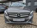 Mercedes-Benz B 220 4Matic 7G-DCT Edition B 2.Hand/Comand/LED/Memory/R Grau - thumbnail 2