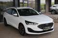 Ford Focus Turnier 1,5 EcoBlue Titanium Aut. ACC, AHK, LED... Weiß - thumbnail 19