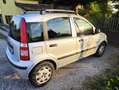 Fiat Panda 1.2 Classic 69cv - thumbnail 4