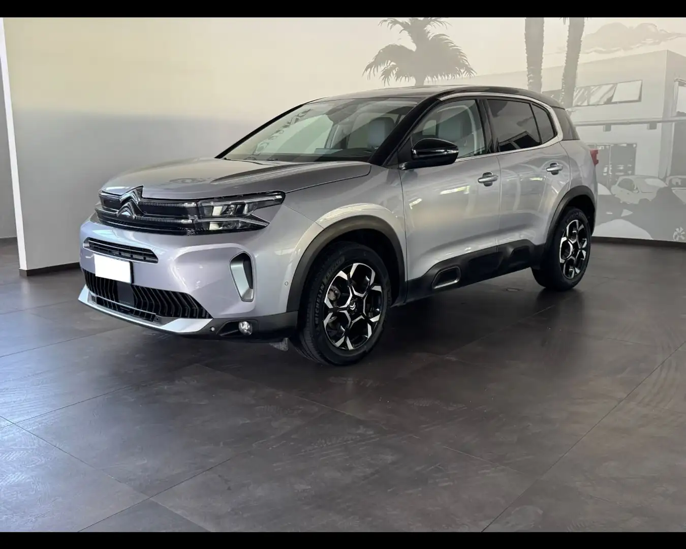 Citroen C5 Aircross BlueHDi 130 S&S EAT8 Max Grigio - 1