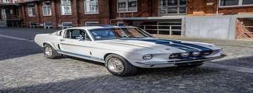 Shelby GT 500 Fastback