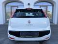 Fiat Punto 1,2 69 Easy *ÖAMTC Pickerl 06/26+4Mo*TopZustand Weiß - thumbnail 8