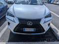 Lexus NX 300 NX I 2018 300h 2.5 Executive 4wd cvt Bianco - thumbnail 13