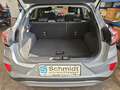 Ford Puma Titanium 1,0 EBoost 125PS MEHV Silber - thumbnail 13