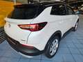 Opel Grandland X AHK SHZ v+h Kamera Denon Totwinkelwa Blanc - thumbnail 5