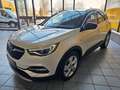 Opel Grandland X AHK SHZ v+h Kamera Denon Totwinkelwa Blanc - thumbnail 2