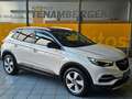Opel Grandland X AHK SHZ v+h Kamera Denon Totwinkelwa Blanc - thumbnail 1