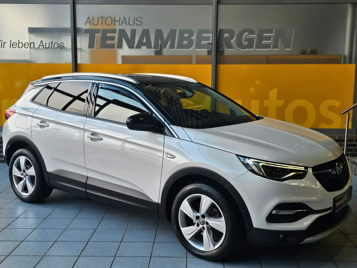 Opel Grandland X AHK SHZ v+h Kamera Denon Totwinkelwa Blanc - 1