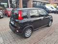 Fiat Panda 1.0 FireFly S&S Hybrid Nero - thumbnail 5