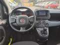 Fiat Panda 1.0 FireFly S&S Hybrid Nero - thumbnail 11