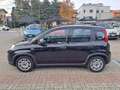 Fiat Panda 1.0 FireFly S&S Hybrid Nero - thumbnail 2