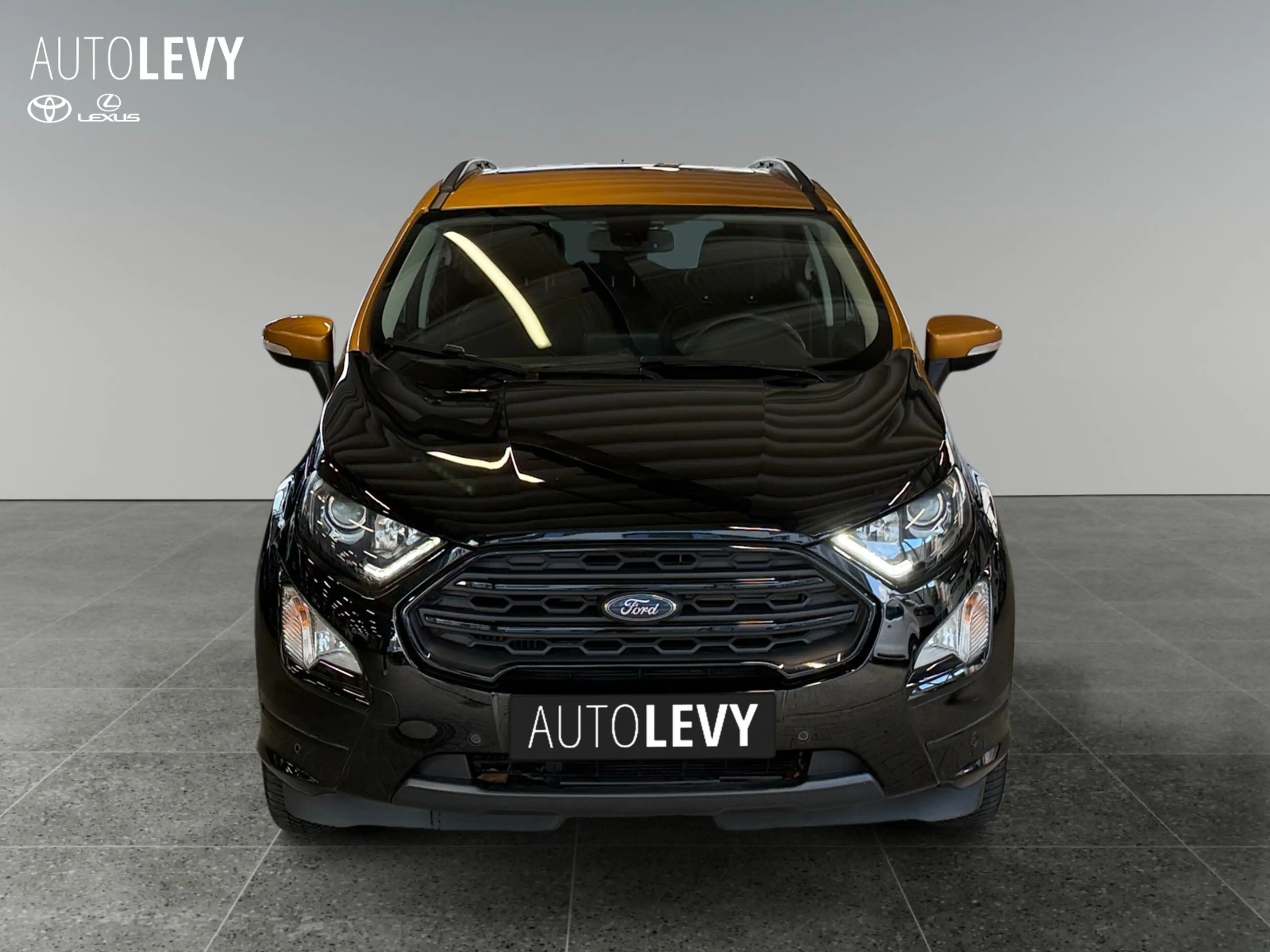Ford EcoSport 1.0 EcoBoost ST-Line GSD+Kamera+SHZ+Navi — photo 9
